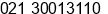Fax number of Mrs. SELVIANA MILI at JAKARTA