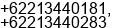 Phone number of Mrs. Yanti at JAKARTA PUSAT