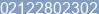 Phone number of Mr. Ryan at jakarta timur